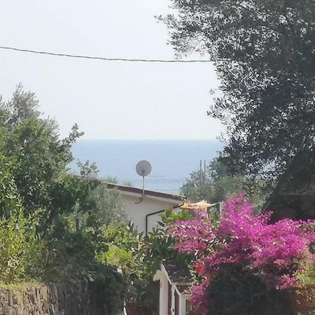 Villa Cilento Mare, Bellissima Con Ampio Giardino Capitello Eksteriør bilde