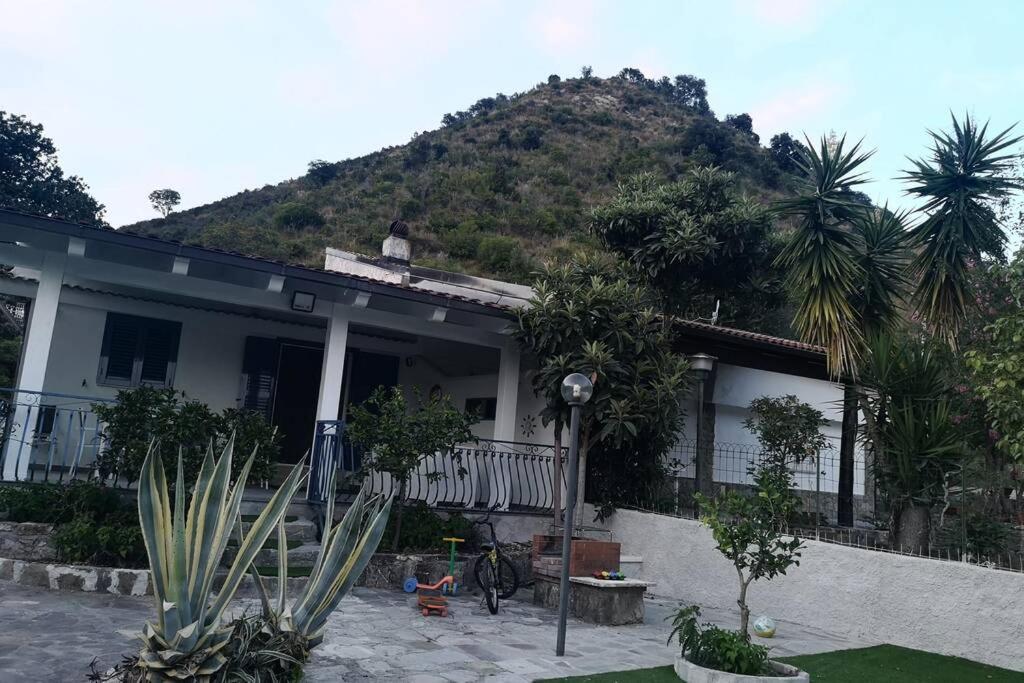 Villa Cilento Mare, Bellissima Con Ampio Giardino Capitello Eksteriør bilde