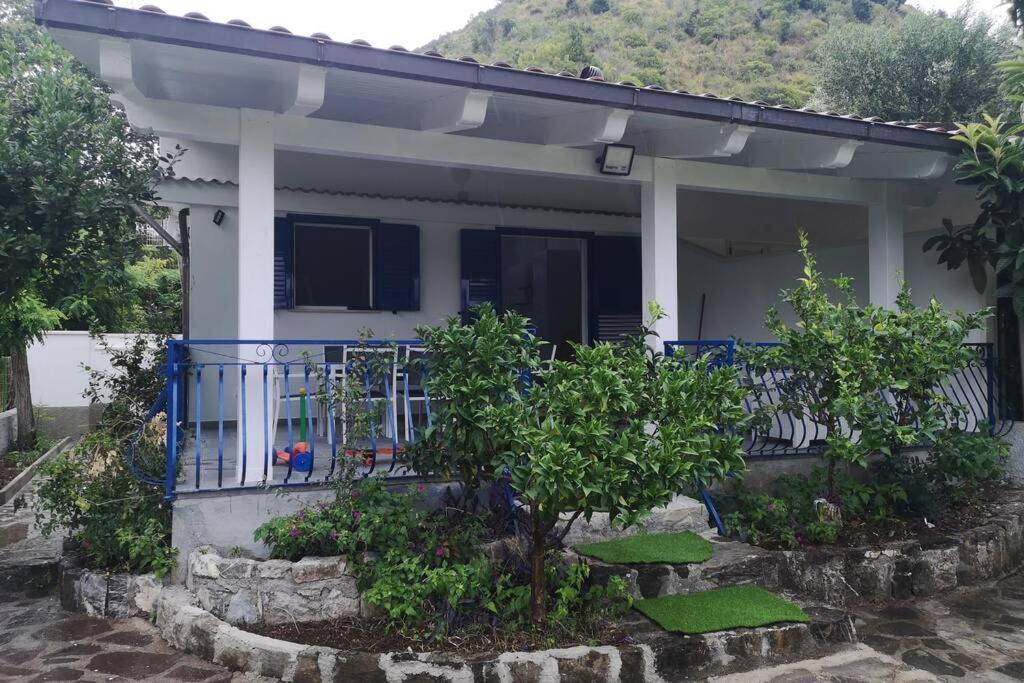 Villa Cilento Mare, Bellissima Con Ampio Giardino Capitello Eksteriør bilde